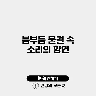 붐부둠 물결 속 소리의 향연