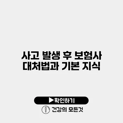 사고 발생 후 보험사 대처법과 기본 지식