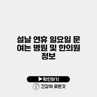 설날 연휴 일요일 문 여는 병원 및 한의원 정보