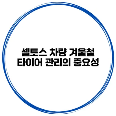 셀토스 차량 겨울철 타이어 관리의 중요성