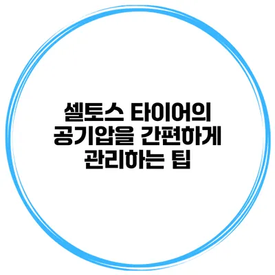 셀토스 타이어의 공기압을 간편하게 관리하는 팁