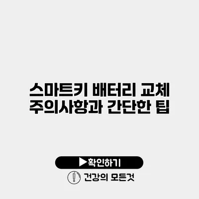스마트키 배터리 교체 주의사항과 간단한 팁