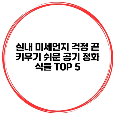 실내 미세먼지 걱정 끝 키우기 쉬운 공기 정화 식물 TOP 5