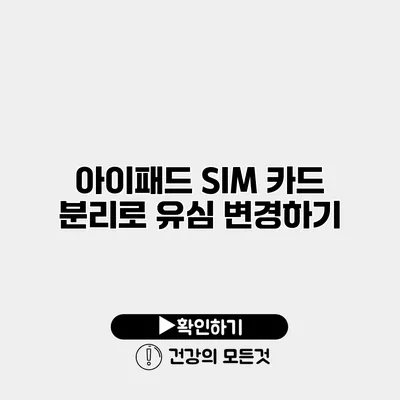 아이패드 SIM 카드 분리로 유심 변경하기