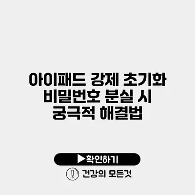 아이패드 강제 초기화 비밀번호 분실 시 궁극적 해결법