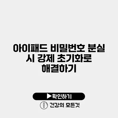 아이패드 비밀번호 분실 시 강제 초기화로 해결하기