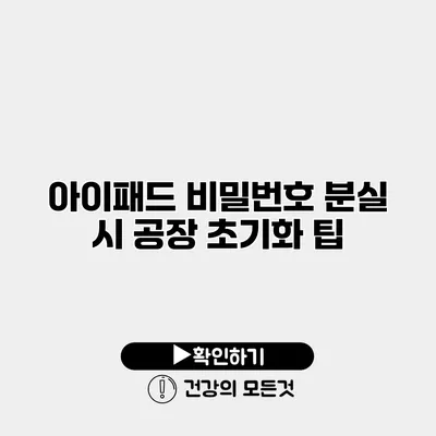 아이패드 비밀번호 분실 시 공장 초기화 팁