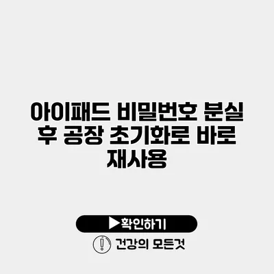 아이패드 비밀번호 분실 후 공장 초기화로 바로 재사용