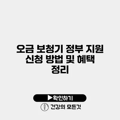 오금 보청기 정부 지원 신청 방법 및 혜택 정리