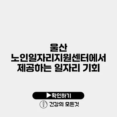 울산 노인일자리지원센터에서 제공하는 일자리 기회