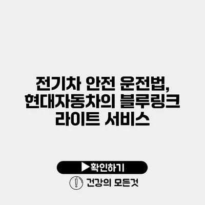 전기차 안전 운전법, 현대자동차의 블루링크 라이트 서비스