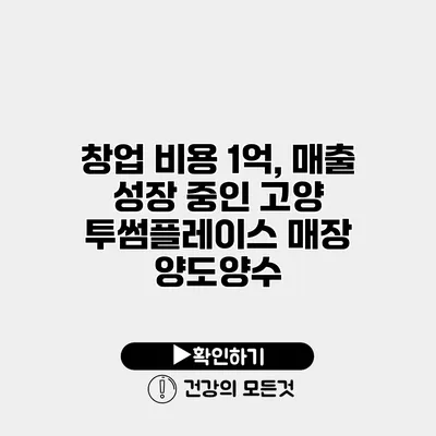 창업 비용 1억, 매출 성장 중인 고양 투썸플레이스 매장 양도양수