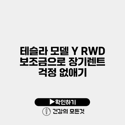 테슬라 모델 Y RWD 보조금으로 장기렌트 걱정 없애기