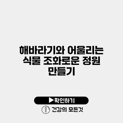 해바라기와 어울리는 식물 조화로운 정원 만들기